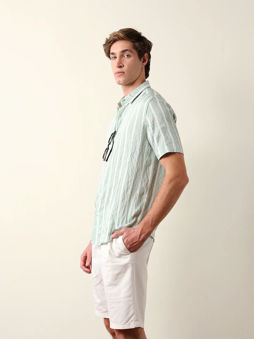 ANAP-GR - Image 4