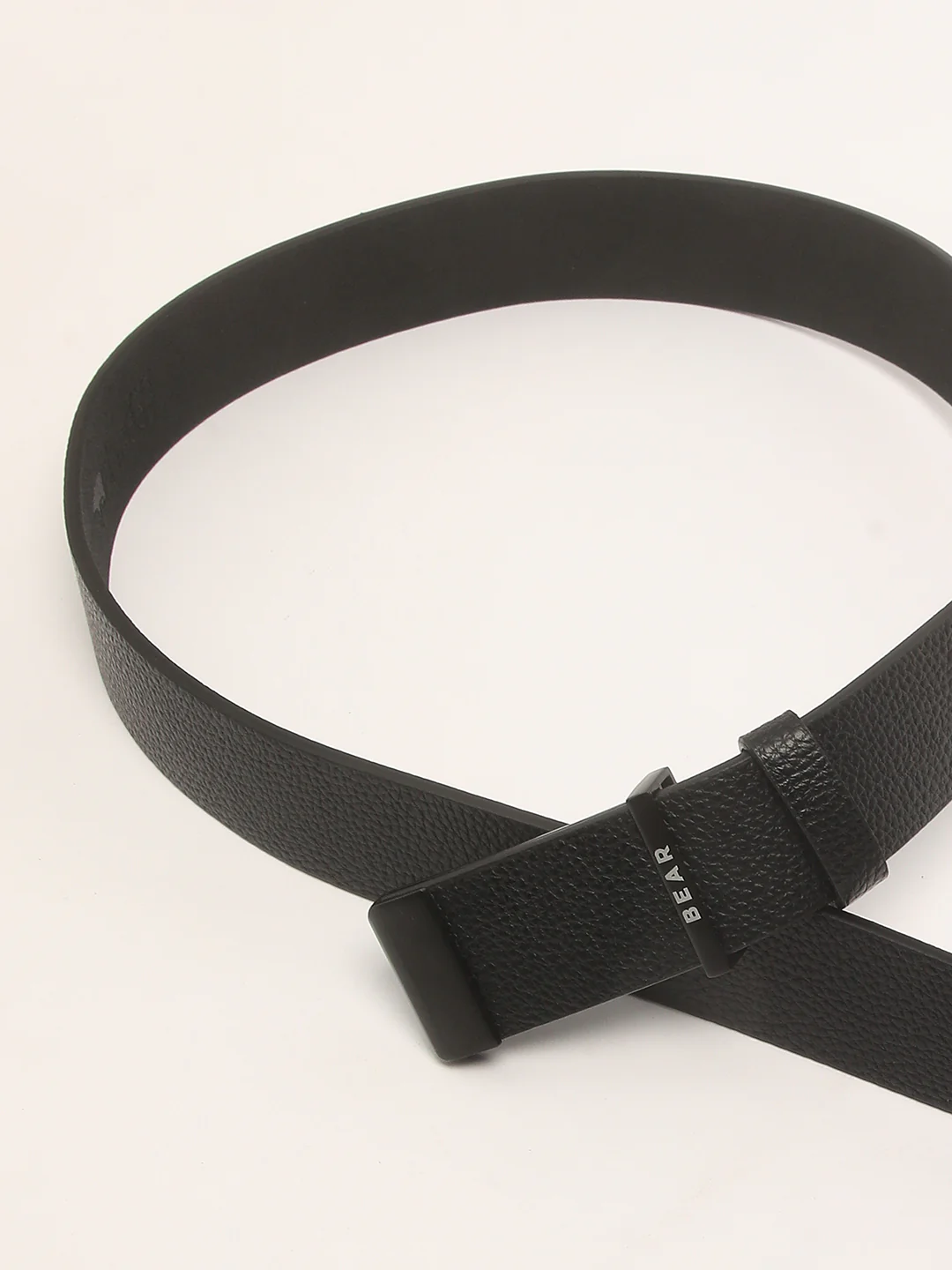 Camol - Image 3