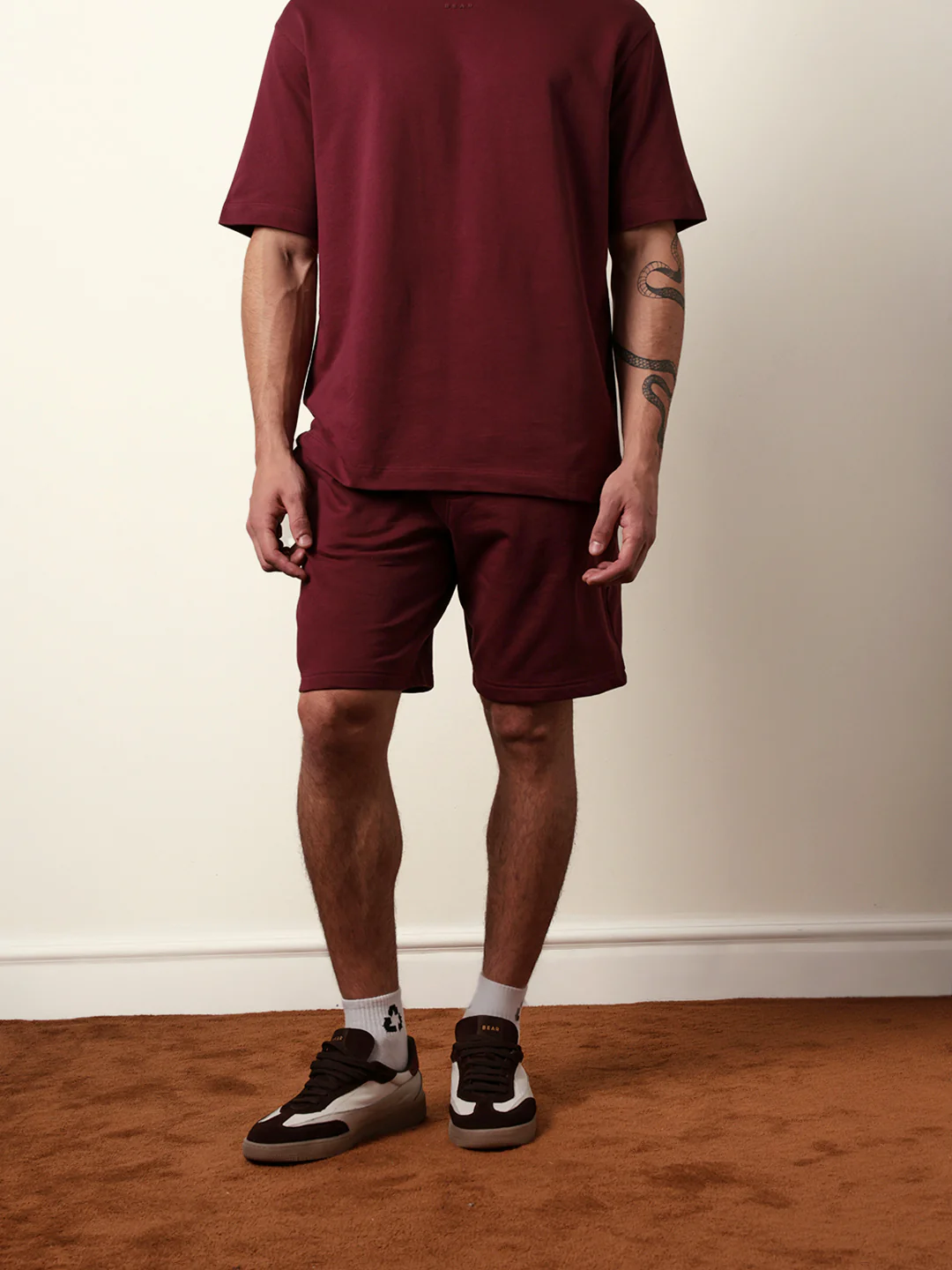 CHESA-MR - Image 3