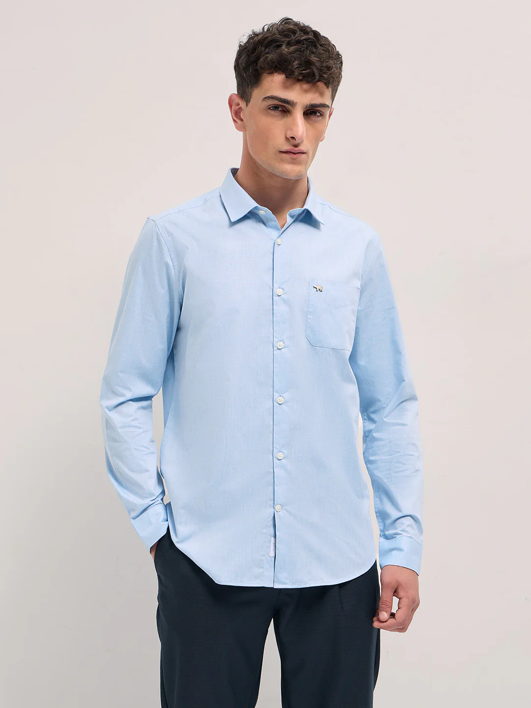 SAIN - Image 6